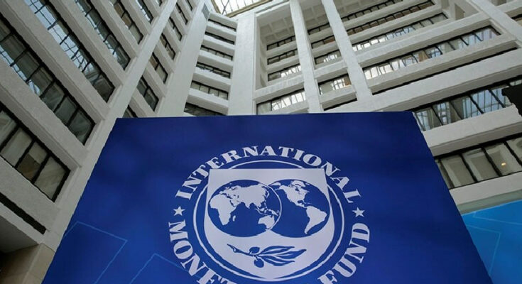 Loans from the International Monetary Fund (IMF)