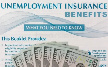 Employment Insurance in the USA