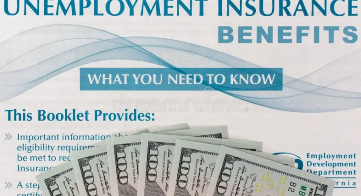 Employment Insurance in the USA