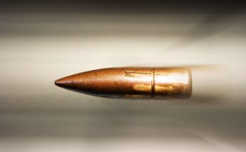 Understanding Bullet Loans